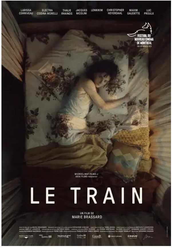 LeSDFtrain.png